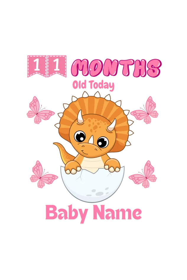 11 Month Celebration : Dino Rompers Printed With Your Baby Girl Name For Their Monthly Milestone