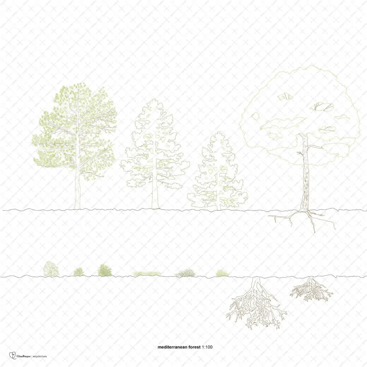 Cad Mediterranean Forest